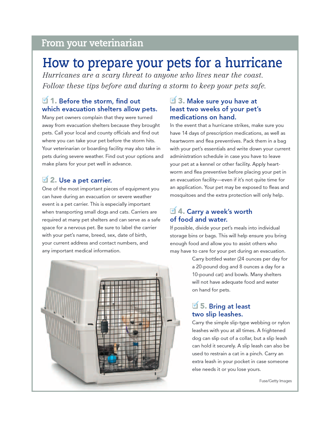 Alt text: an informational flyer titled "how to prepare your pets for a hurricane," featuring a list of safety tips and steps pet owners should follow, vet-approved, before, during, and after a hurricane event.