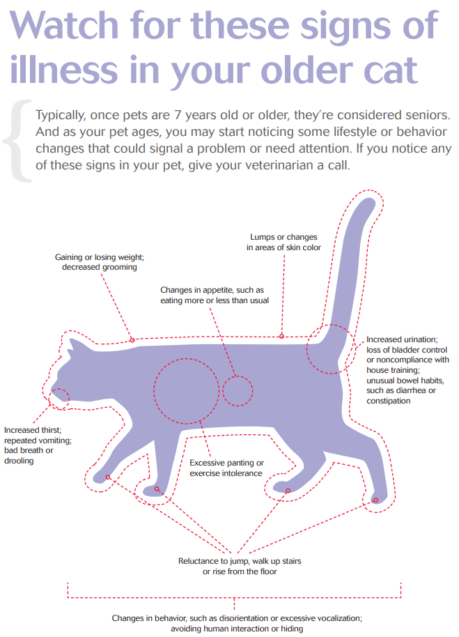 An infographic illustrating signs of illness in older pets, designed for vet use. Outlined silhouettes of a dog and cat are annotated with symptoms such as changes in behavior, increased thirst, and weight changes. The background is light purple with white and dark purple text.