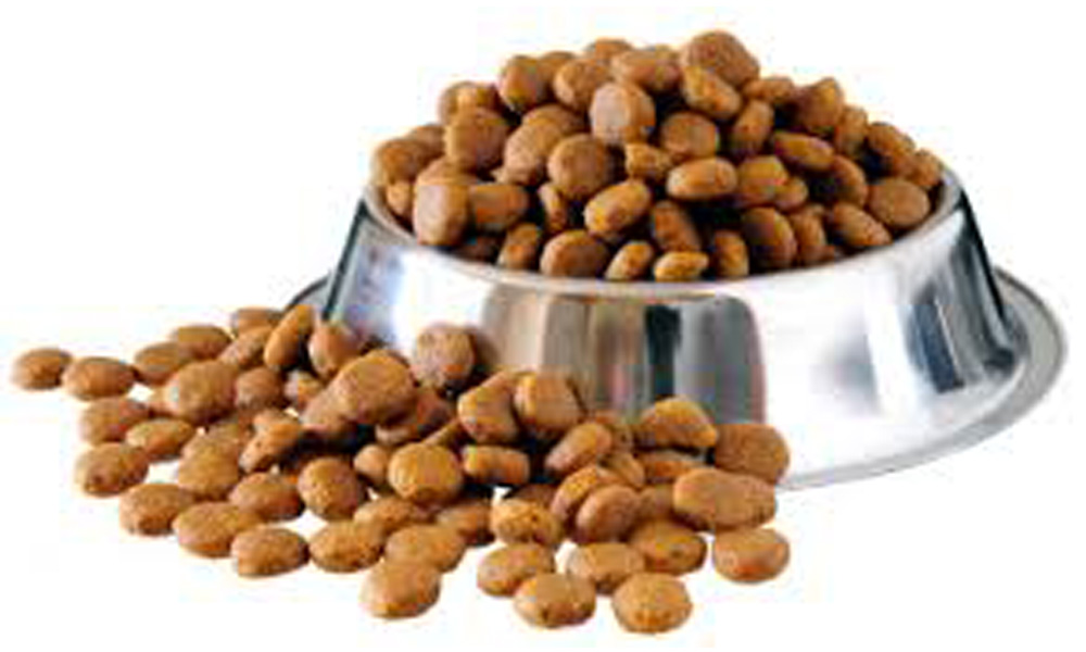 A silver pet food bowl approved by veterinarians, overflowing with dry brown kibble, scattered on a white background.