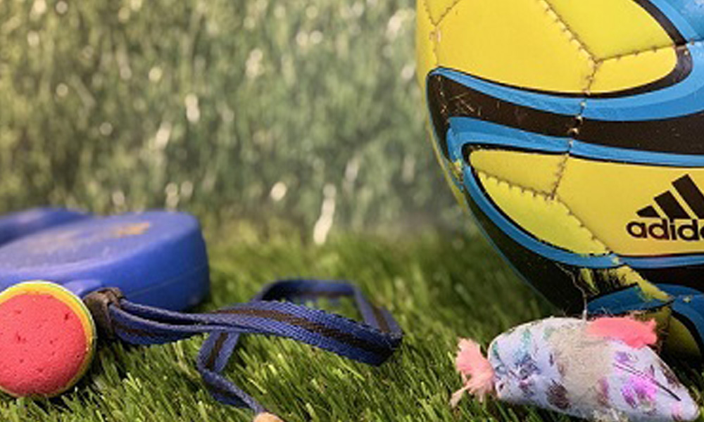 A close-up of a bright yellow and blue adidas soccer ball next to a blue resistance band, colorful small weights, and a plush veterinarian toy on a green grass-like surface.