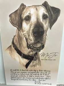 A detailed pencil sketch of a labrador dog wearing a collar, signed and dated by the veterinarian artist with a heartfelt note below expressing love and memories.