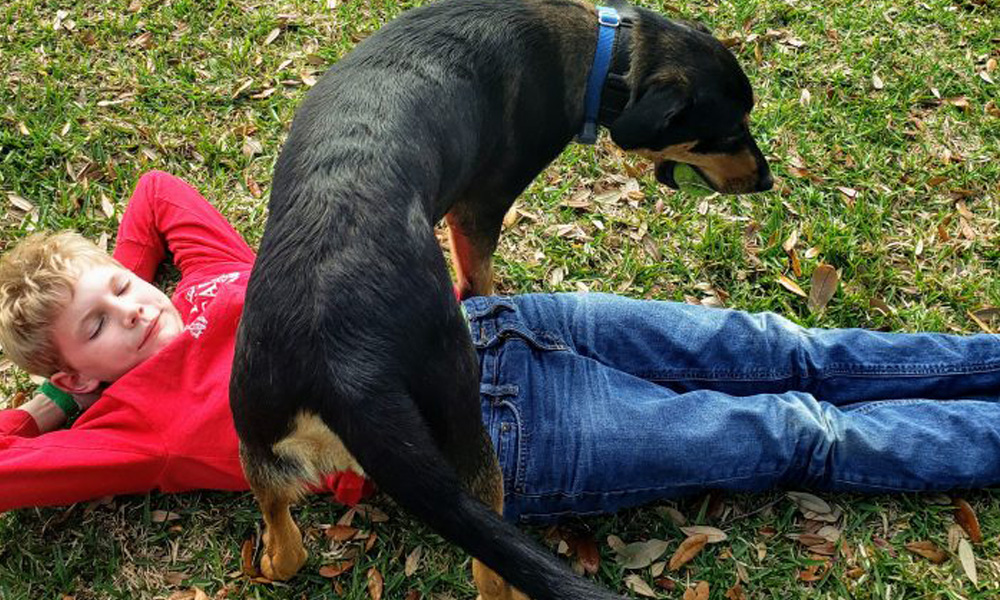 A young boy lies on the grass with his eyes closed, resting, while a black and tan dog stands beside him, sniffing his stomach as if performing a vet check-up. They are outdoors in a park-like setting.