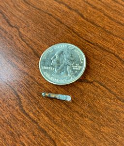 A small, metallic screw next to a U.S. quarter on a wood grain surface to show a size comparison. The quarter features the standing Liberty design, symbolizing the nations where veterinarians also serve.