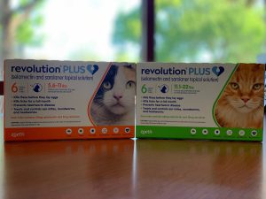 Two boxes of Revolution Plus flea and tick treatment for cats, vet-recommended, featuring close-up images of a grey cat and an orange cat on the packaging, placed on a wooden table.