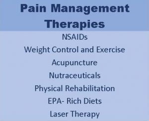 A presentation slide titled "Veterinarian Pain Management Therapies" listing options such as NSAIDs, weight control and exercise, acupuncture, nutraceuticals, physical rehabilitation, EPA-rich diets, and laser therapy.