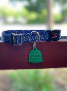 A blue and white paisley patterned dog collar with a gold buckle, attached to a green bone-shaped tag displaying veterinarian contact information, hanging against a blurred natural background.