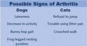 A chart created by a veterinarian comparing possible signs of arthritis in dogs and cats, listing symptoms such as lameness and refusal to jump. The chart has a blue background with white text.