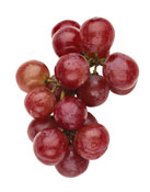 A cluster of glossy red grapes connected by green stems, isolated on a white background. The grapes vary in shade from deep red to lighter pink.