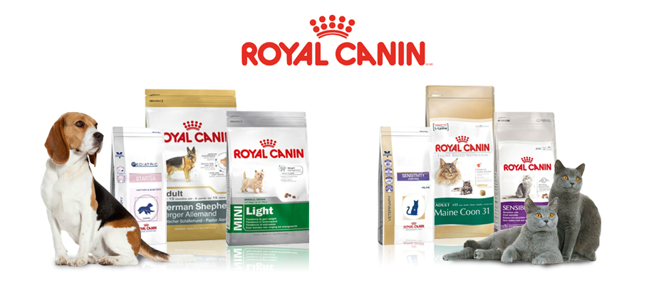 Advertisement for Royal Canin pet food, recommended by veterinarians, featuring a beagle, bags of dog food, a British Shorthair cat, and bags of cat food, with the Royal Canin logo in the center.