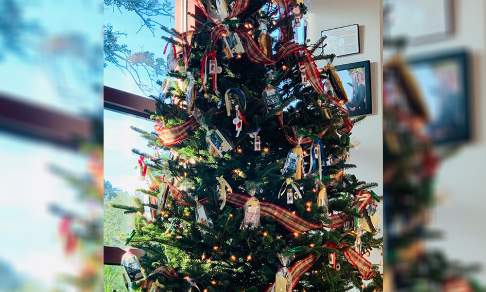 A decorated Christmas tree indoors, adorned with ribbons, lights, and various ornaments celebrating veterinarians, standing next to a window with a reflection on the adjacent frames.