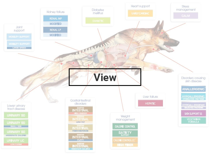 canine nutrition defined by veterinarian