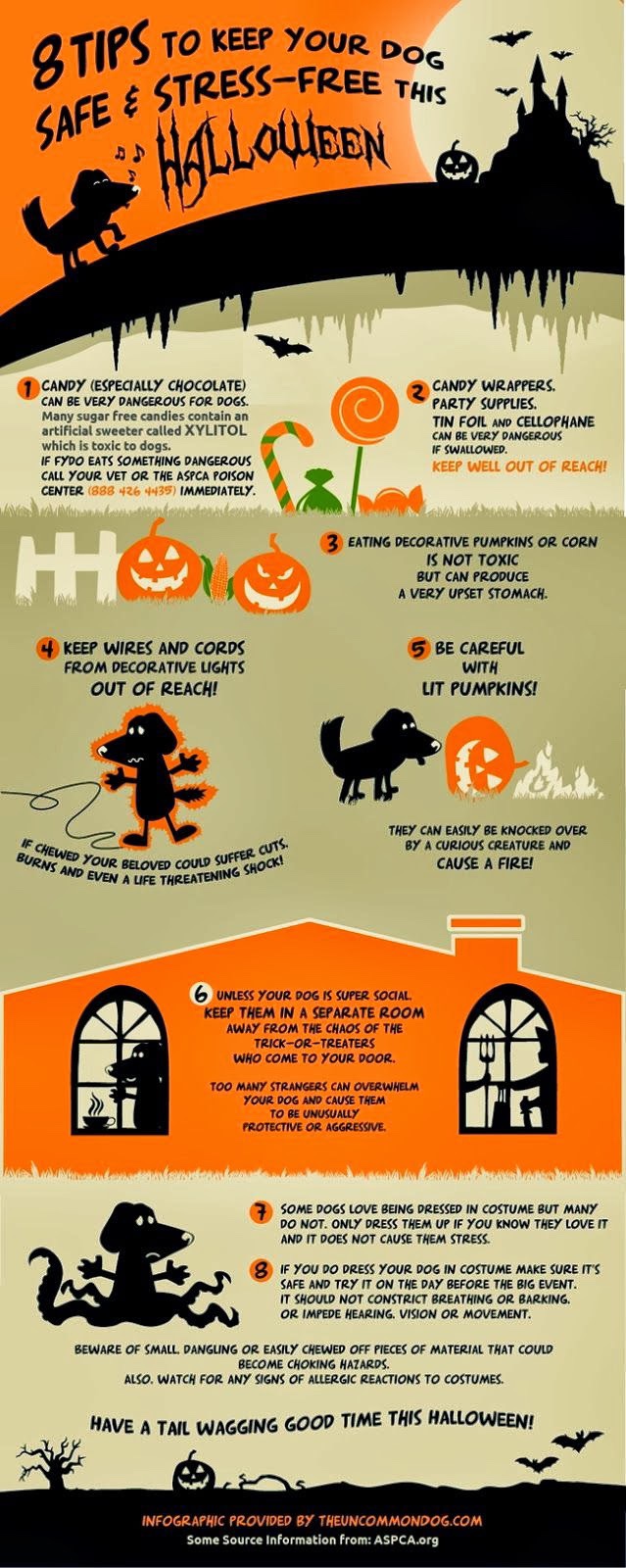 An infographic titled "8 Veterinarian-Approved Tips to Keep Your Dog Safe & Stress-Free This Halloween," featuring colorful illustrations and text on tips related to candy, decorations, and costumes to ensure pet safety.