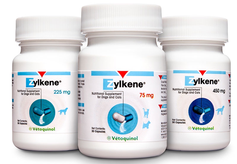 Three bottles of zylkene nutritional supplement for dogs and cats, prescribed by a veterinarian, with varying dosages (75 mg, 225 mg, 450 mg), displayed against a white background.