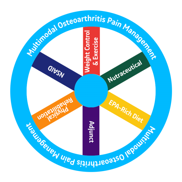 pain management veterinary protocol options