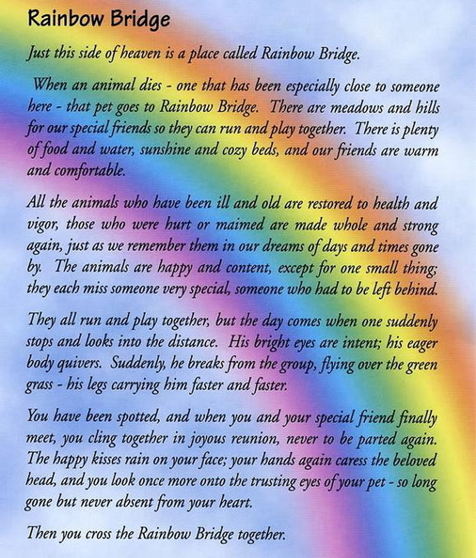 pet end of life rainbow bridge