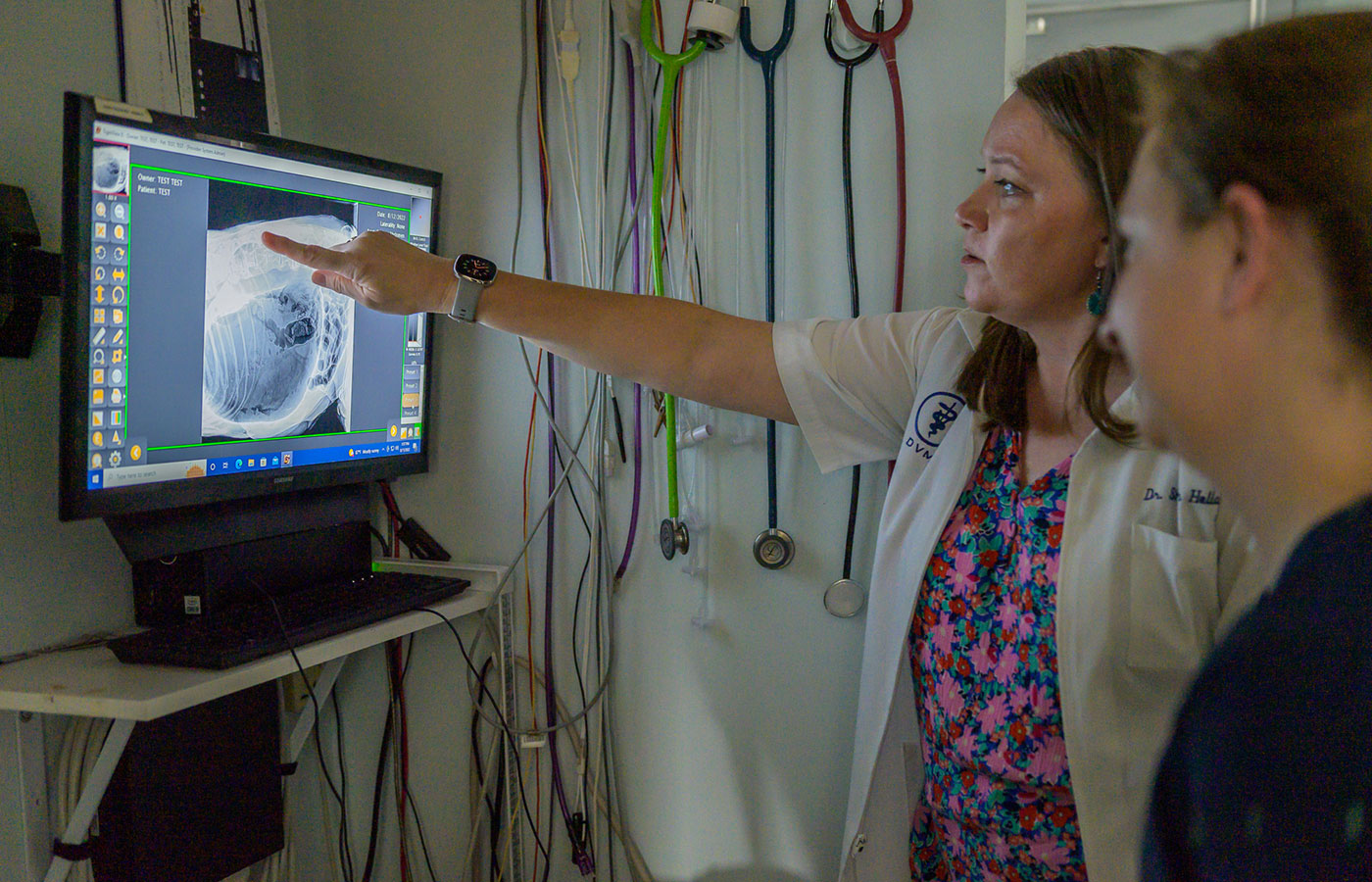 A vet points to an x-ray image on a computer screen, explaining it to an attentive colleague in a clinic room filled with medical equipment.