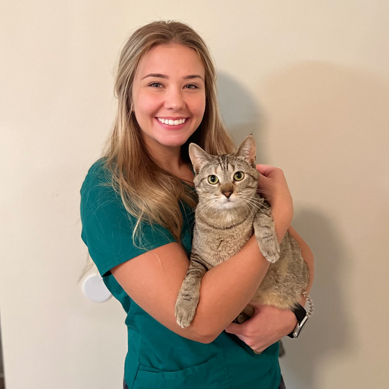 A veterinarian in green scrubs smiles while holding a grey tabby cat. The cat looks at the camera with a calm expression. They are indoors with a plain wall background.