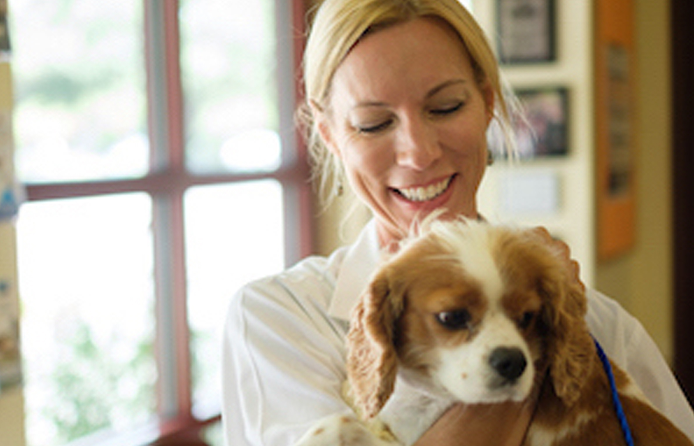 A smiling female vet holds a cavalier king charles spaniel in a clinic, exuding a warm and caring demeanor.