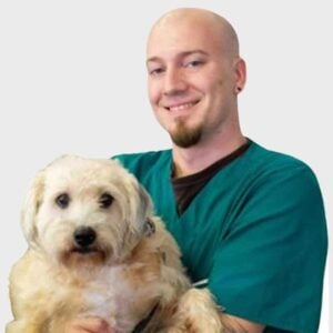 A smiling veterinarian with a shaved head and wearing green scrubs holds a fluffy, light-colored dog. They are both posed in front of a white background.