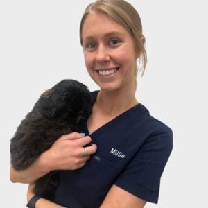 A person with blonde hair is smiling and holding a small black puppy. The person is wearing navy blue scrubs with the name "Millie" embroidered on them. The background is plain white.