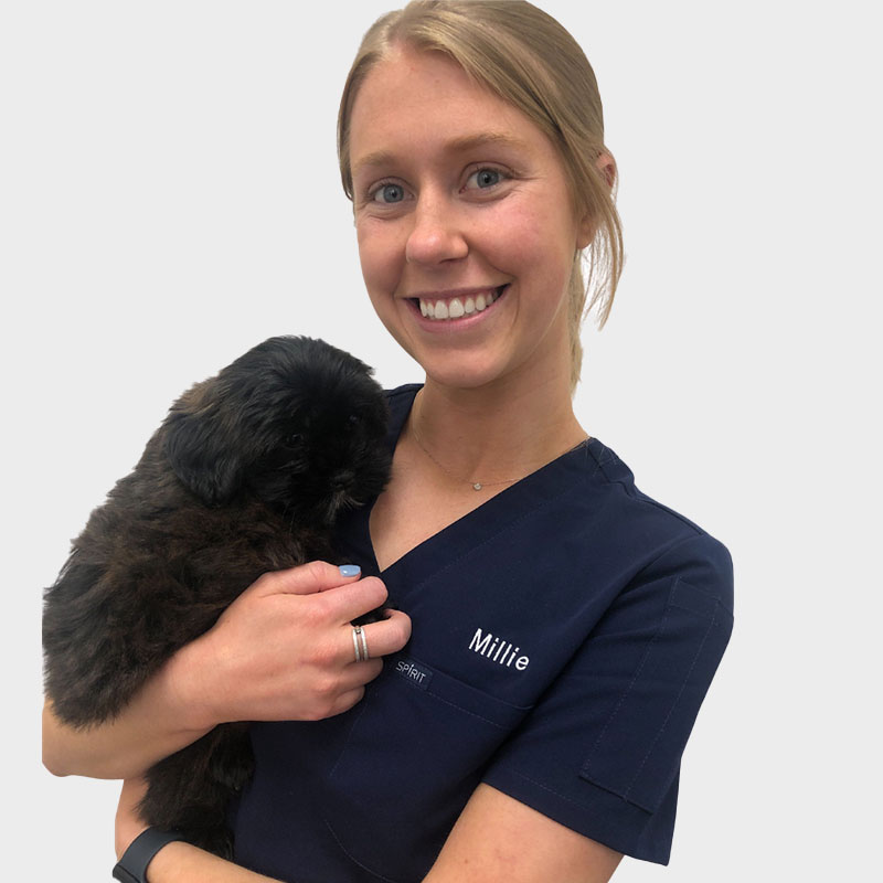 A woman wearing navy blue scrubs with the name "Millie" embroidered on them smiles at the camera while holding a small, black fluffy puppy. The background is plain white.