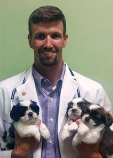 A smiling vet in a white coat and checkered shirt holding three speckled puppies in his arms against a green wall background.